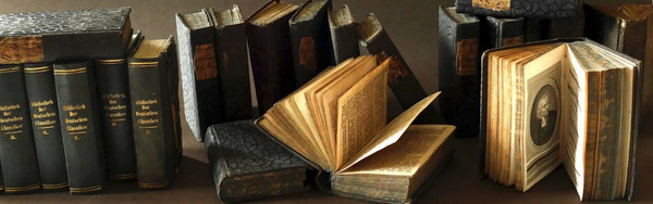 Im Bestand der Historischen Bibliothek Martfeld: „Bibliothek der Deutschen Klassiker“. (Foto: Günter Roland, 2017)